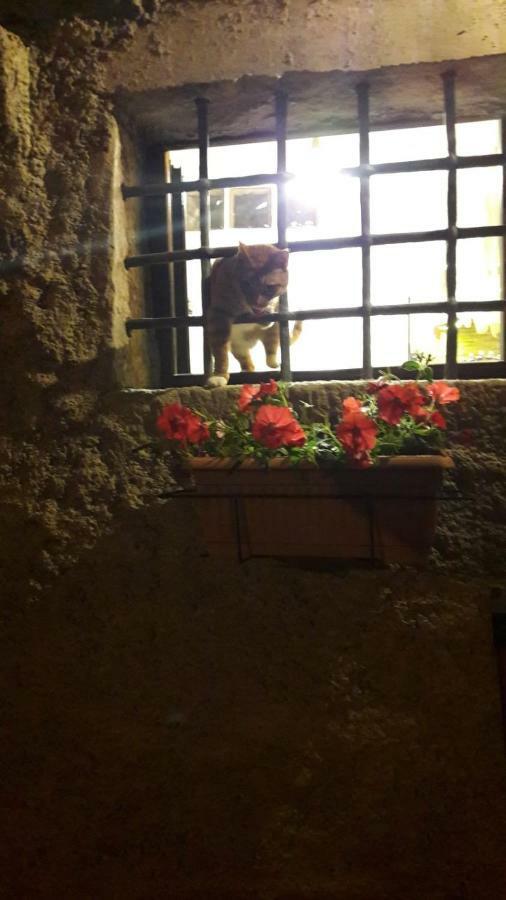 L'Arco Di Sersa Riccò del Golfo di Spezia Exteriér fotografie